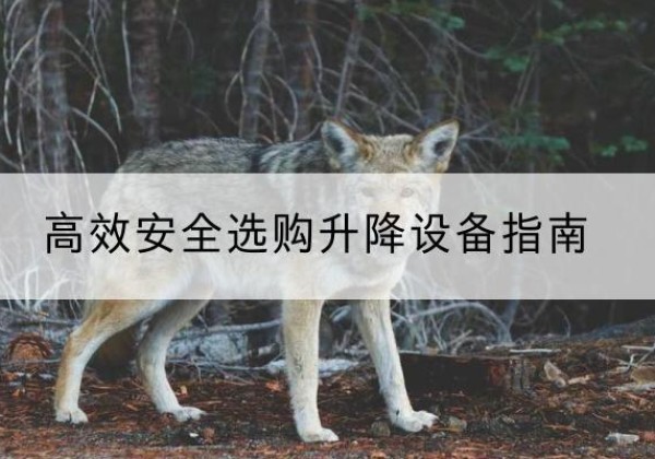 玛曲升降货梯厂家推荐-*安全选购升降设备指南