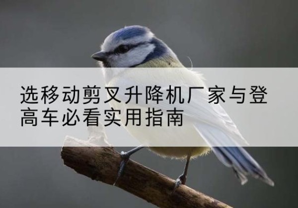 玛曲电动升降机厂家-选移动剪叉升降机厂家与登高车必看实用指南