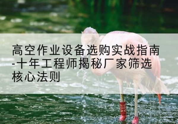 玛曲剪叉式升降机厂家-高空作业设备选购实战指南-十年工程师揭秘厂家筛选核心法则